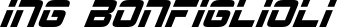 BONFIGLIOLI