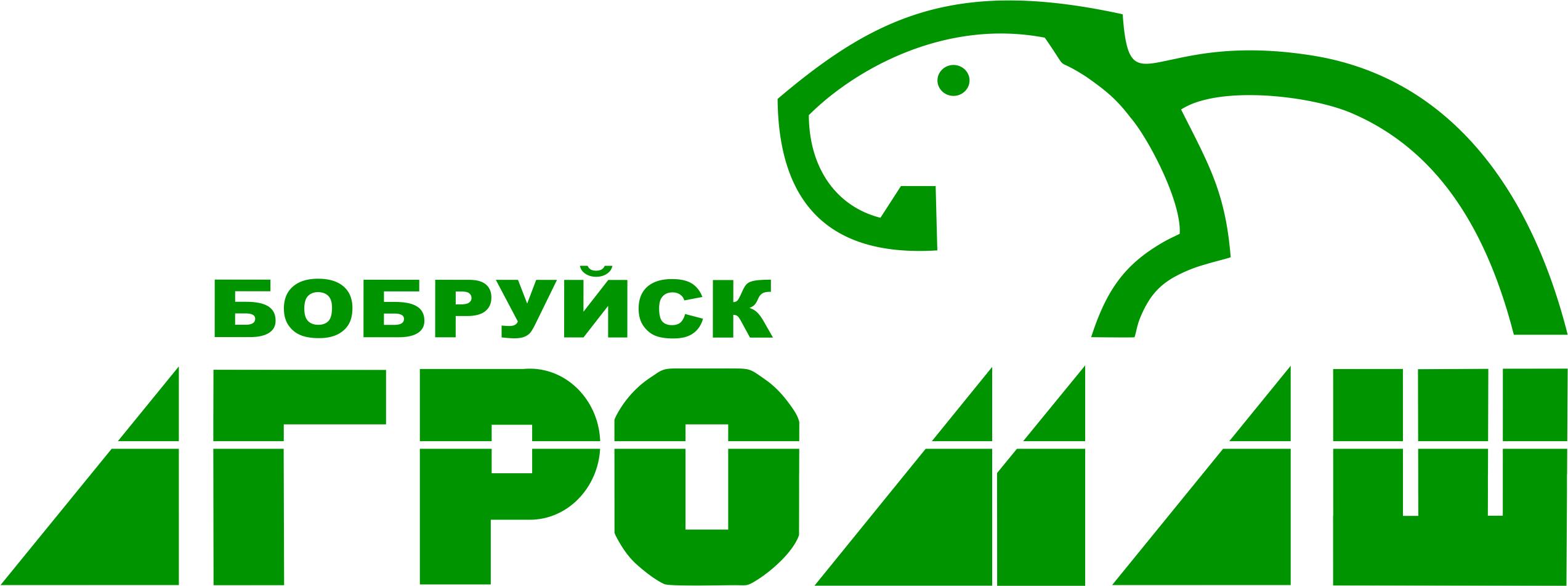 БОБРУЙСКАГРОМАШ