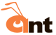 Ant